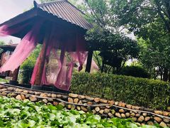 -观唐（国际）度假村温泉