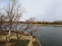 -大兴滨河森林公园