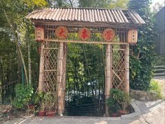 -大本营竹筒饭