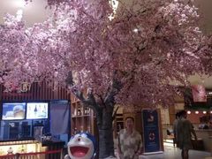 -大江户·温泉洗浴(浑南店)