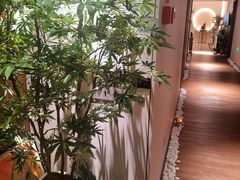 -OMSPA(盛景尚峰店)