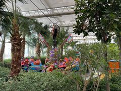 -南宫五洲植物乐园