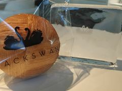 -BLACKSWAN黑天鹅(环球店)