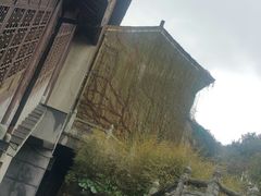 -普陀山佛顶山索道