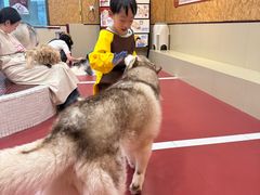 -和它·交个朋友·狗咖猫咖(爱琴海店)