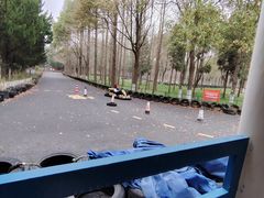 -东平国家森林公园