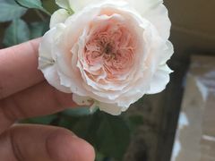 -几何影城观前街店(全激光影厅)
