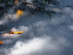 -华东政法大学(松江校区)