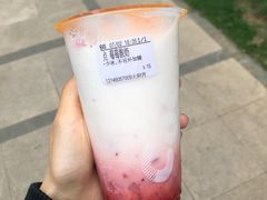 莓莓酸奶-CoCo都可(新太阳宫店)
