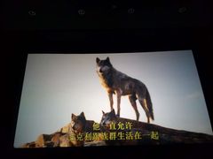 -UME影城(西城广场店)