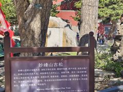 -妙峰山风景名胜区