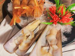 -鲜入围煮花胶鸡海鲜火锅