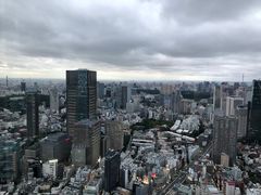 -六本木新城展望台(东京城市景观)