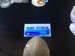 -贝壳梦幻世界