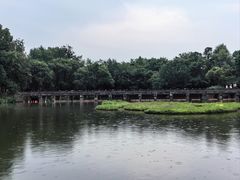 -西溪国家湿地公园