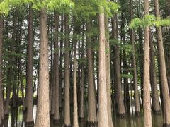 -采石矶景区