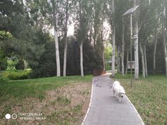 -北极寺公园
