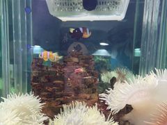 -太平洋海底世界