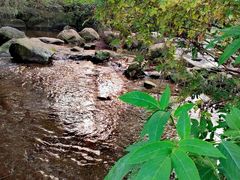 -重庆彩云湖湿地公园
