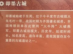 -青岛市博物馆