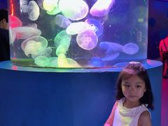 -太平洋海底世界