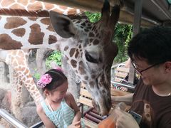 -清迈夜间动物园