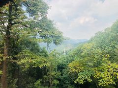 -杭州林泉山庄
