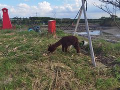 -美家乐农庄·露营·团建(大治路店)