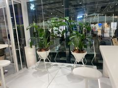 大堂-% Arabica阿拉比卡咖啡(前滩太古里店)