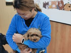 -菲丽丝宠物医院·24小时·猫科中心·免疫点(淮海分院)