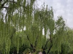 -丰台花园