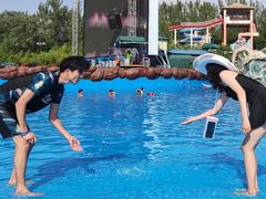 -郑州方特水上乐园