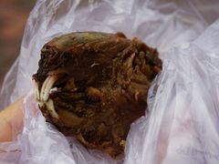 兔头-红星兔丁(武侯祠店)
