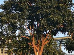 -海南热带野生动植物园