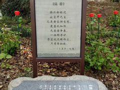 -杭州半山国家森林公园