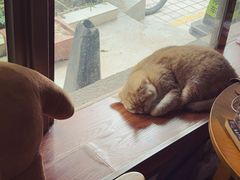 -咖法森林·咖啡  酒吧(天河店)