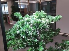 -通透堂中医·精准推拿(旗舰店)