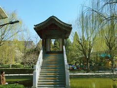 -团结湖公园