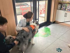 -瑞派长江宠物医院·猫科·外科·24小时夜护(谊城公寓分院)