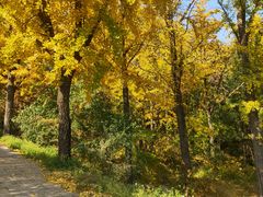 -阳台山自然风景区