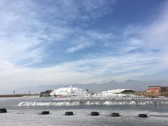 -哈素海