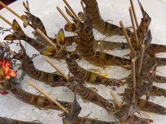 -红雀围·海鲜火锅(陆家嘴中心店)