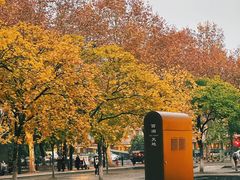 -西湖天地