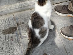 -西安大兴善寺
