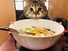-加太贺日式和风料理