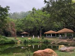 -大雁山风景区