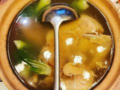 松茸菌炖散养老鸡-上海崇明金茂凯悦酒店