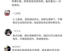 -鼎香皇高佬苏裹蒸粽