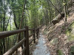 -南山植物园
