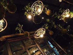-胡桃里音乐酒馆(东区店)